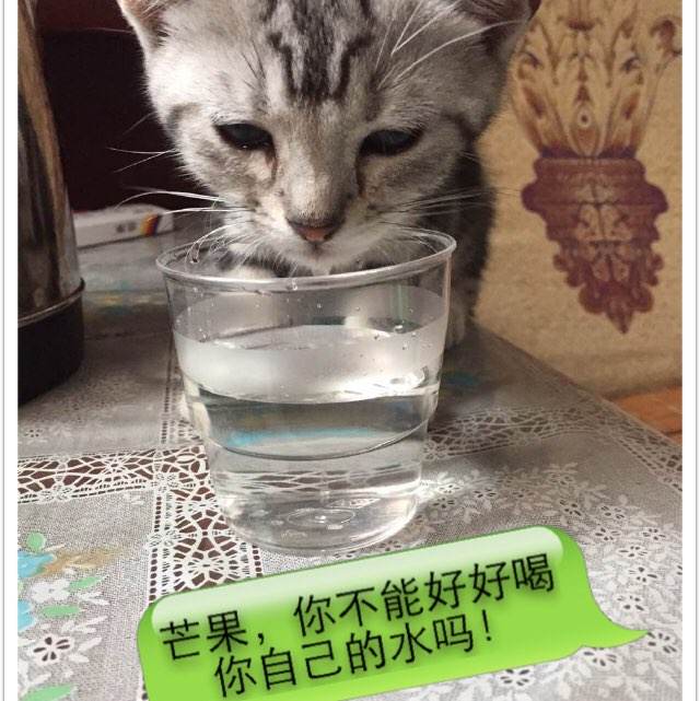 萨尔兰工程和经济应用技术大学证书